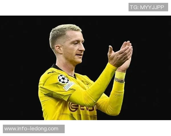 罗伊斯力挺布兰特留队多特未来合作前景可期